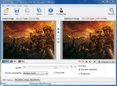 riot photo|riot photo resizer free download.